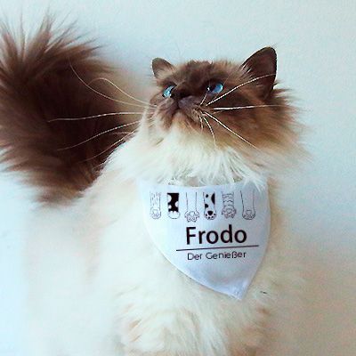 Personalisierbares Bandana für Katzen - Katzenpfoten