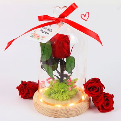 Rose unter ihrer leuchtenden Glasglocke mit personalisierbarer Karte