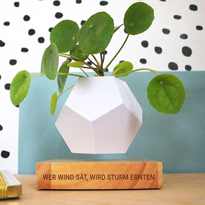 Schwebender Blumentopf - Botschaft