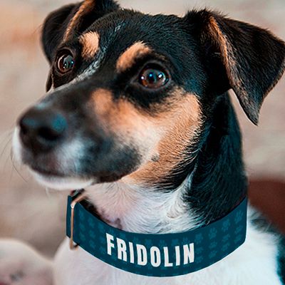 Personalisierbares Hunde-Halsband - Pfötchen