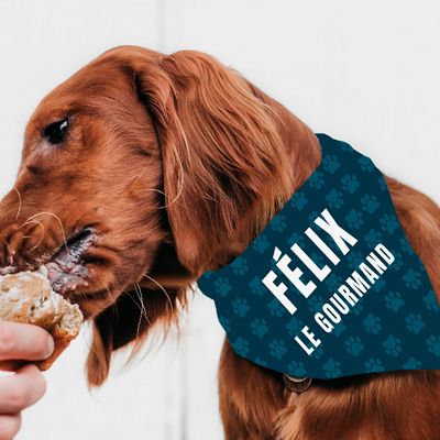 Personalisierbares Bandana für Hunde - Pfötchen