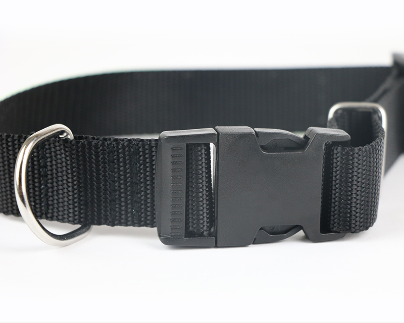 Bild 3 des Produkts Personalisierbares Hunde-Halsband - Pattes & Os anzeigen