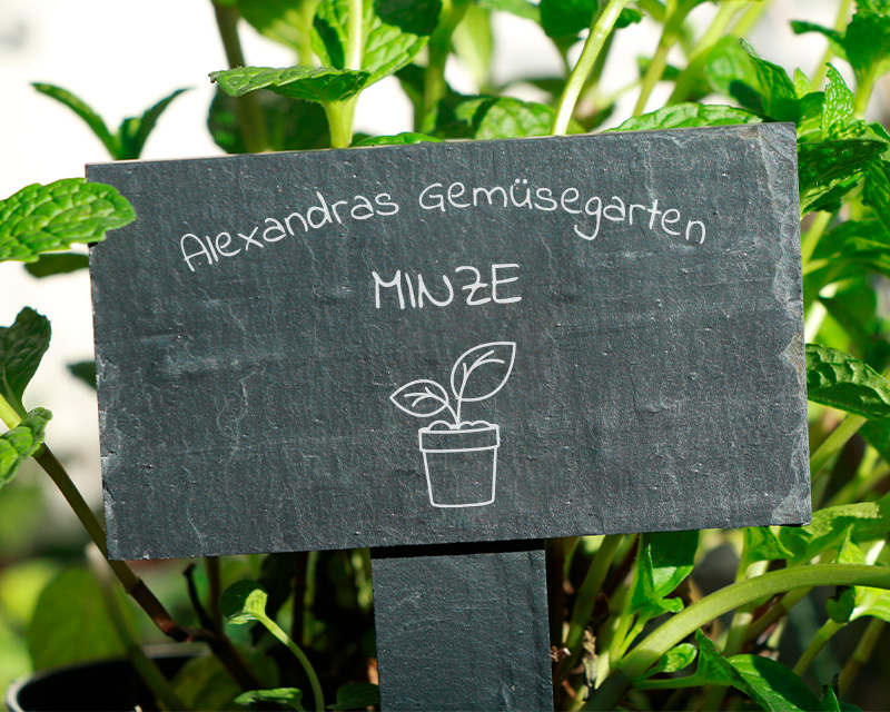 Bild 1 des Produkts Personalisierbarer Mini-Pflanzenstecker aus Schiefer - Gemüsegarten anzeigen