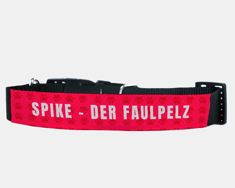 Personalisierbares Hunde-Halsband - Pfötchen