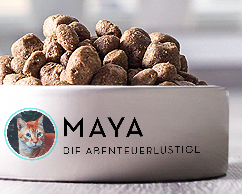 Personalisierbarer Fressnapf für Tiere - Foto und Name