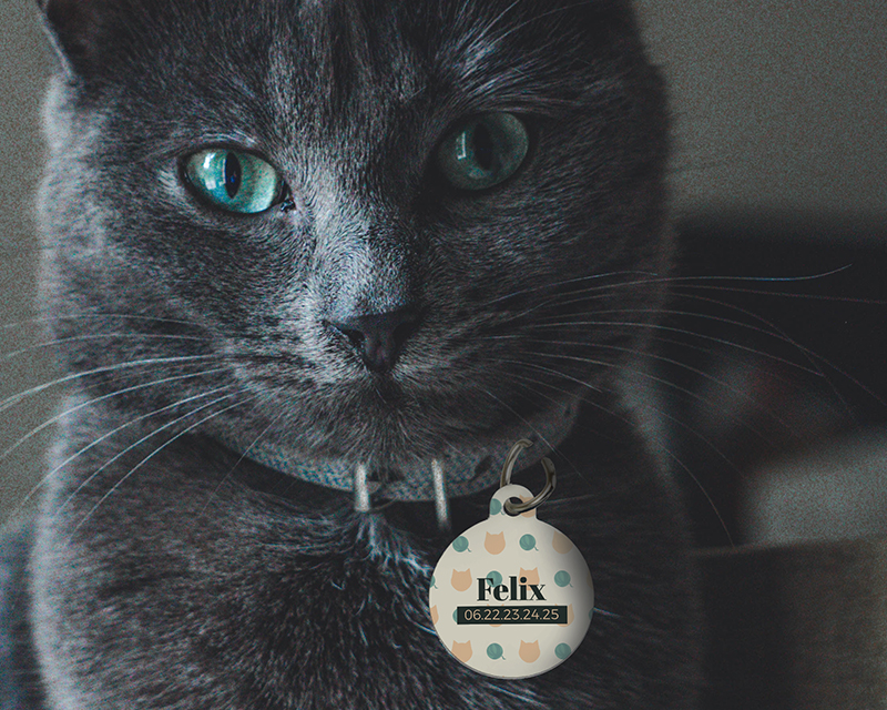 Bild 3 des Produkts Personalisierbare Katzenmarke - Name und Telefon - Helles Modell anzeigen