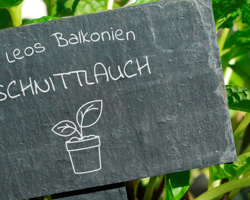 Bild 2 des Produkts Personalisierbarer Mini-Pflanzenstecker aus Schiefer - Gemüsegarten anzeigen