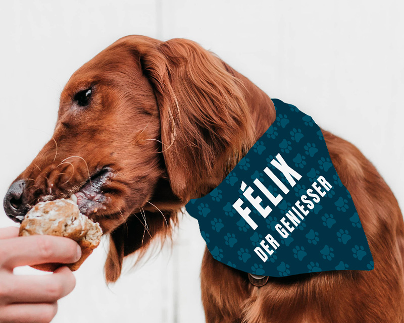 Personalisierbares Bandana für Hunde - Pfötchen