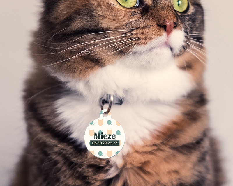 Bild 2 des Produkts Personalisierbare Katzenmarke - Name und Telefon - Helles Modell anzeigen